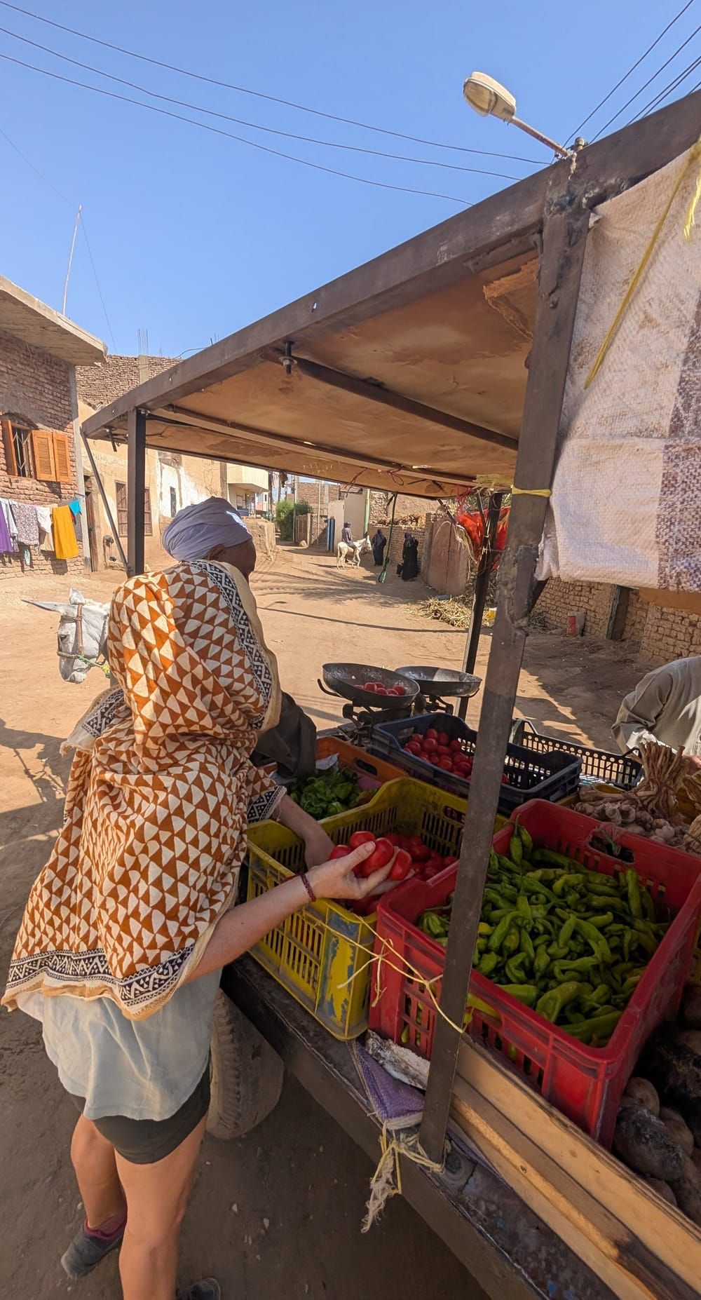 Fresh vegetables displayed at a local farm stall in Luxor, Egypt.
