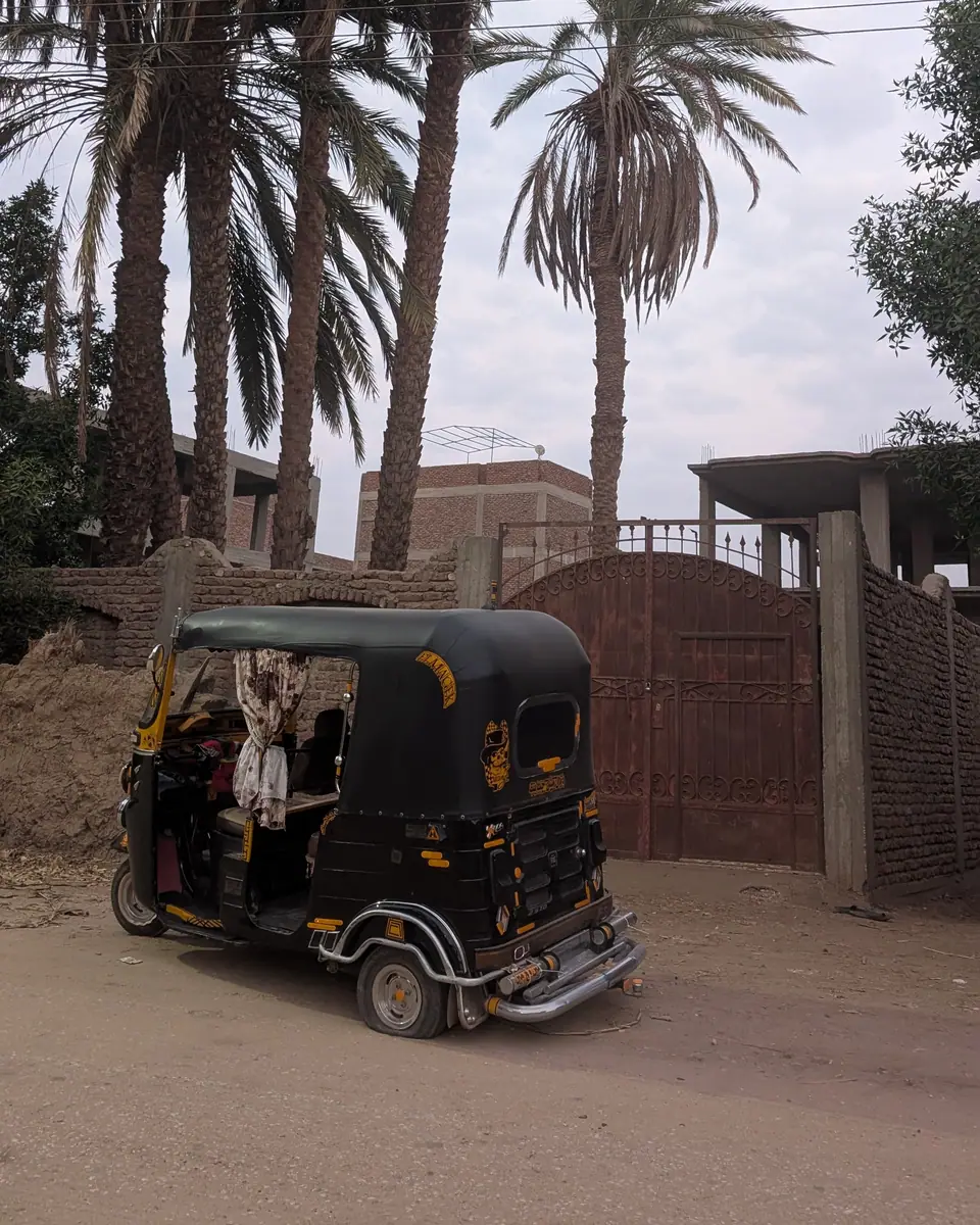 A tuk-tuk on a residential street on Luxor’s West Bank, with a palm tree and building behind it.